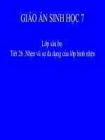 Gián án Lớp hình nhện