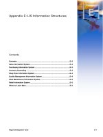 Tài liệu Appendix E: LIS Information Structures pptx