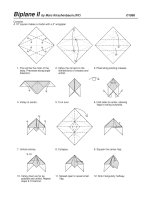 Tài liệu biplane docx