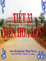 Gián án Tiết 33 - Tiến hóa lớn