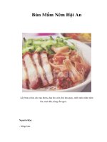 Tài liệu Bún Mắm Nêm Hội An ppt