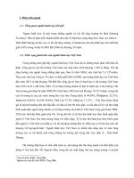 Tài liệu Phân tích tài chính công ty Hải Hà 1 docx