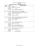 Tài liệu GIÁO ÁN TUẦN 23 LỚP 1 (CKTKN),DOC