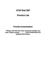 Tài liệu Practice Examination docx