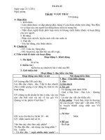 Tài liệu ngư văn tuần 23