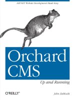 Orchard CMS up and running