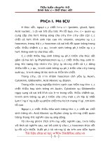 Lịch sử nghiên cứu, vai trò sinh lý và tầm quan trọng kinh tế của các hoocmon thực vật auxin, cytokinin, gibberellin, 