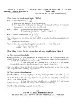 Bài soạn De thi thu lan 1 Quynh luu 1 ngay 23-01-2011- Toan