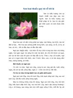 Tài liệu Sen loai thuốc quý từ rễ tới lá doc