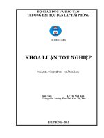 Giải pháp mở rộng và nâng cao hiệu quả tín dụng tiêu dùng tại ngân hàng TMCP sài gòn thương tín   chi nhánh hải phòng 
