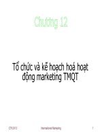 Tổ chức và kế hoạch hoá hoạt động marketing TMQT