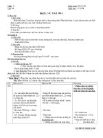 Tài liệu các loại quả