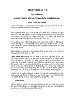 Tài liệu Kinh tế học vi mô bài giảng 13 pdf