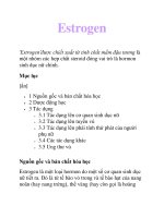 Tài liệu tự nhiên,sinh học,Estrogen , sinh dục, hormon pdf
