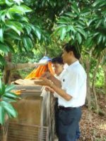 Tài liệu Nuôi tắc kè pptx