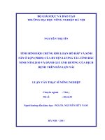 tình hình hội chứng rối loạn hô hấp và sinh sản ở lợn của huyện lương tài tỉnh bắc ninh năm 2010 và đánh giá ảnh hưởng của dịch bệnh trên đàn lợn nái 