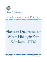 Tài liệu Alternate Data Streams – What’s Hiding in Your Windows NTFS? pdf