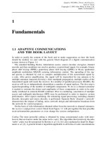 Tài liệu Adaptive WCDMA (P1) docx