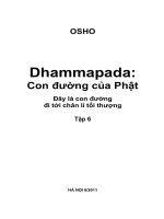 Con đường của Phật – Tập 6