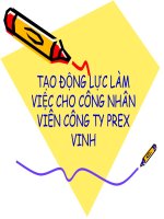 Slide tạo ĐỘNG lực làm VIỆC CHO CÔNG NHÂN VIÊN CÔNG TY PREX VINH 