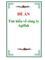 Tài liệu Đề án 