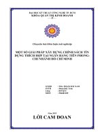 Một số giải pháp xây dựng chính sách tín dụng thích hợp tại ngân hàng tiên phong  chi nhánh HCM  khóa luận tốt nghiệp 