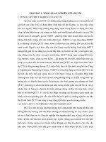 181 phát triển mô hình quảng cáo trực tuyến của công ty cổ phần phát triển thương mại điện tử việt nam  