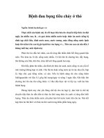 Tài liệu Bệnh đau bụng tiêu chảy ở thỏ docx