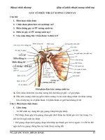 Tài liệu Ngoại chấn thương: Gãy cổ phẫu thuật xương cánh tay ppt