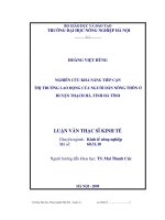 Nghiên cứu khả năng tiếp cận thị trường lao động của người dân nông thôn huyện thạch hà, tỉnh hà tĩnh 