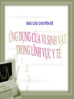 Tài liệu Báo cáo chuyên đề Ứng dụng của vi sinh vật trong Y tế pdf