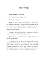 Tài liệu Cây Tô mộc pdf