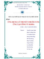 Ứng dụng mô hình lý thuyết chuỗi cung ứng trong việc cải tiến hiệu suất hoạt động chuỗi cung ứng công ty koda 
