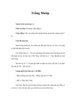 Tài liệu Trồng Mướp pptx
