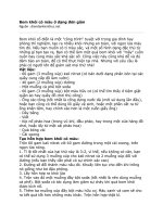 Tài liệu Bom khói có màu ở dạng đơn giản pdf