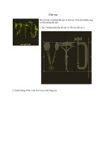 Tài liệu Chữ ma doc