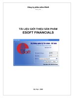 Tài liệu TÀI LIỆU GIỚI THIỆU SẢN PHẨM ESOFT FINANCIALS doc