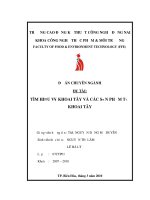 TÌM HIỂU VỀ KHOAI TÂY VÀ CÁC SẢN PHẨM TỪ KHOAI TÂY