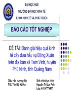 Slide đánh giá hiệu quả kinh tế cây dưa hấu vụ đông xuân trên địa bàn xã tam vinh, huyện phú ninh, tỉnh quảng nam 