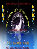 Gián án Tiet 41-Phát tán của quả và hạt