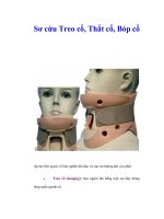 Tài liệu Sơ cứu Treo cổ, Thắt cổ, Bóp cổ pptx