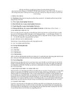 Tài liệu mẫu bản tóm tắt báo cáo đánh giá tác động môi trường đã được phê duyệt ppt