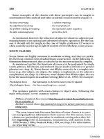 Tài liệu Teaching academic ESL writing part 28 pptx