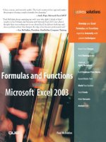 Tài liệu Formulas and Functions with Microsoft Excel 2003 ppt