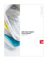 Tài liệu ADX Active Digital Cross-Connect A Space in Time pptx