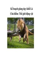 Tài liệu CHỦ ĐỀ: THẾ GIỚI ĐỘNG VẬT - Khối Lá doc