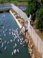 Tài liệu Đề tài: “Phân tích báo cáo tài chính ở Techcombank – thực trạng và giải pháp” pdf