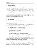 Tiểu luận đề tài đô la hoá 