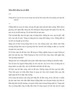 Xin đời cho ta có đôi 