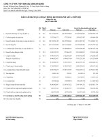 Tài liệu CTy Thủy Sản An Giang - Kết quả kinh doanh quý 4 năm 2008 doc